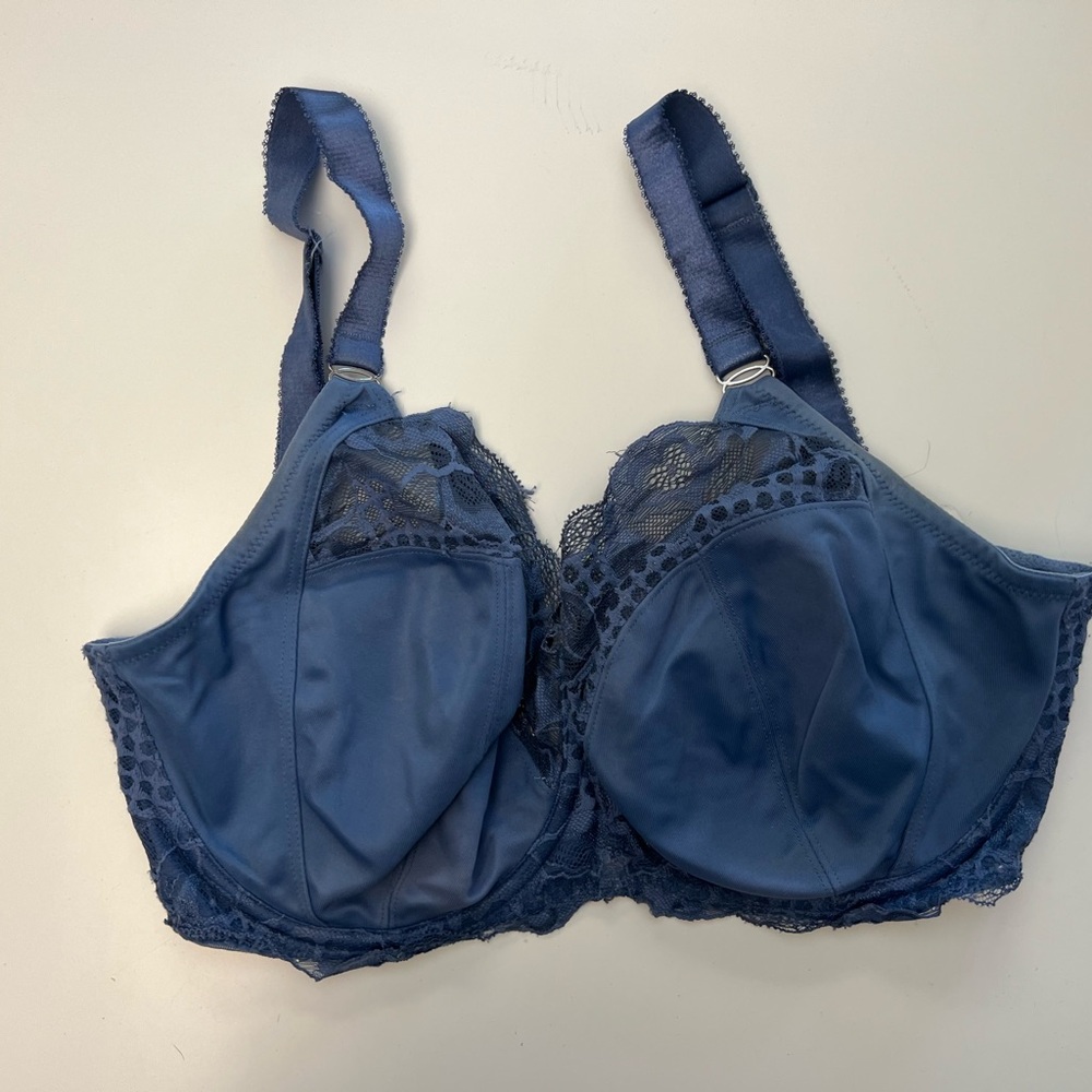 Fantasie Blue Lace Trim 30H